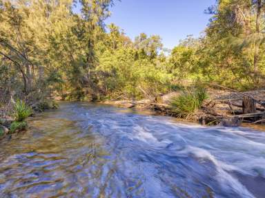 Farm For Sale - NSW - Bellingen - 2454 - River frontage and Pastoral Paradise only minutes from beautiful Bellingen!  (Image 2)