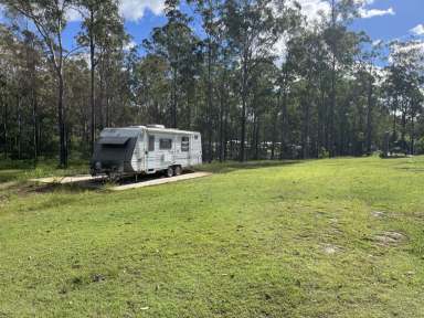 Farm For Sale - QLD - Bauple - 4650 - PEACE AND QUIET WITH CARAVAN PAD  (Image 2)