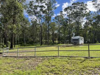 Farm For Sale - QLD - Bauple - 4650 - PEACE AND QUIET WITH CARAVAN PAD  (Image 2)