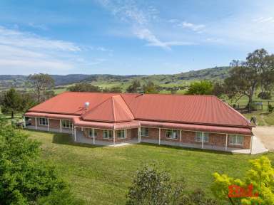 Farm For Sale - NSW - Mount Rankin - 2795 - Wongaburra, 151ac or 61ha  (Image 2)