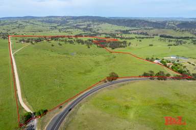 Farm Auction - NSW - Mount Rankin - 2795 - Wongaburra, 151ac or 61ha  (Image 2)