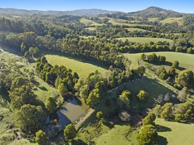 Farm For Sale - VIC - Foster - 3960 - Views from the mountains to the sea  (Image 2)