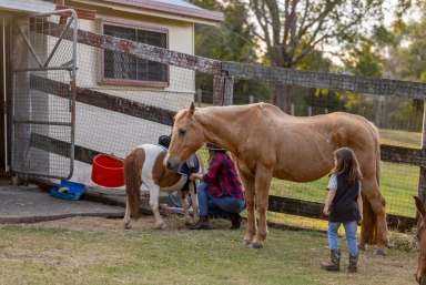 Farm For Sale - QLD - Amamoor - 4570 - Horse-Friendly Lifestyle Property  (Image 2)