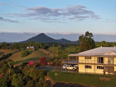 Farm For Sale - QLD - Cooroy - 4563 - Hinterland Views!  (Image 2)