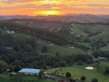 Farm For Sale - QLD - Cooroy - 4563 - Hinterland Views!  (Image 2)