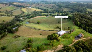 Farm For Sale - QLD - Cooroy - 4563 - Hinterland Splendour, Master-Built Home with VIEWS!  (Image 2)