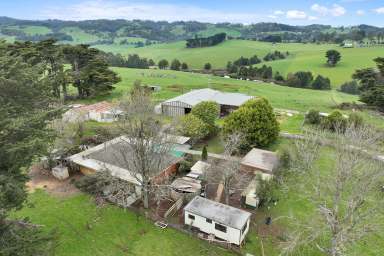 Farm For Sale - Victoria - Ellinbank - 3821 - 40-acre farm, renovators delight. In daffodil country Ellinbank  (Image 2)