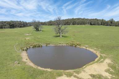 Farm For Sale - VIC - Boho South - 3669 - Expressions of Interest - Close 2nd Dec at 12.00 Noon
Strathbogie Tablelands - "Mandorla" - 290ac (117.35ha) of High-Country Grazing  (Image 2)