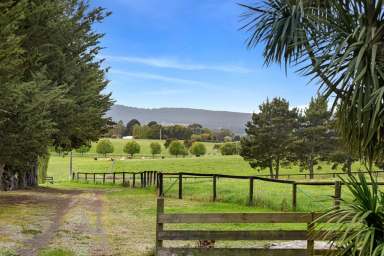 Farm For Sale - VIC - Lancefield - 3435 - Exclusive Offering: Your New Lifestyle and Business in One.  (Image 2)