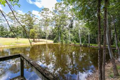 Farm For Sale - QLD - Lake Macdonald - 4563 - Multi generational living on private, peaceful acreage  (Image 2)