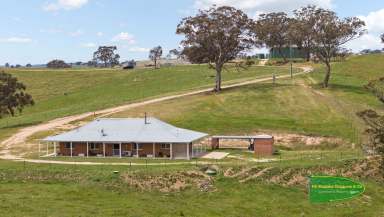 Farm For Sale - NSW - Rock Forest - 2795 - "Swallow Creek" 2029 Ophir Road  (Image 2)