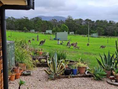 Farm For Sale - NSW - Kangaroo Valley - 2577 - Location, wildlife and lifestyle sanctuary with options for a bargain!  (Image 2)