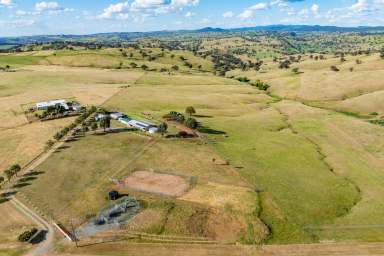 Farm For Sale - NSW - Canowindra - 2804 - Immaculate country home set on 44acres and exceptional views!  (Image 2)