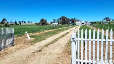 Farm For Sale - NSW - Kingsvale - 2587 - ACRES OF APPEAL  (Image 2)