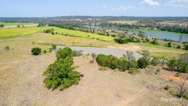 Farm For Sale - QLD - South Kolan - 4670 - Spectacular Approved Organic Soil production site on the Banks of the Burnett river.  (Image 2)