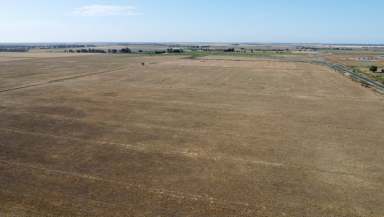 Farm For Sale - VIC - Kerang East - 3579 - 103 Ha (255 Acres) of Prime Irrigation Farming Land  (Image 2)