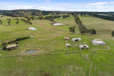 Farm For Sale - VIC - Lancefield - 3435 - Opportunity Awaits on 22-Acres (approx.)  (Image 2)