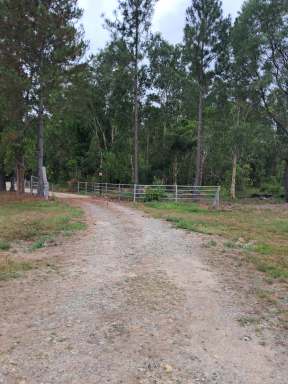 Farm For Sale - QLD - Ellerbeck - 4816 - Rural Lifestyle Opportunity near Cardwell!!  (Image 2)