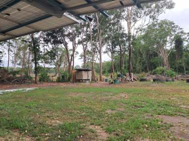 Farm For Sale - QLD - Ellerbeck - 4816 - Rural Lifestyle Opportunity near Cardwell!!  (Image 2)