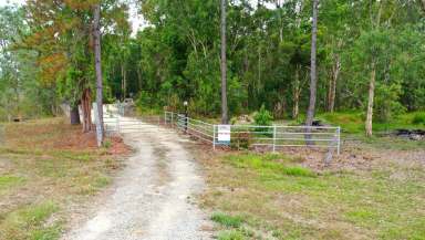 Farm For Sale - QLD - Ellerbeck - 4816 - Rural Lifestyle Opportunity near Cardwell!!  (Image 2)