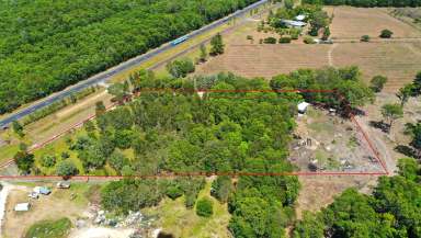 Farm For Sale - QLD - Ellerbeck - 4816 - Rural Lifestyle Opportunity near Cardwell!!  (Image 2)