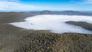 Farm For Sale - VIC - Bullioh - 3700 - Australian bush conservation.  (Image 2)