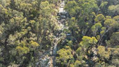 Farm For Sale - VIC - Bullioh - 3700 - Australian bush conservation.  (Image 2)