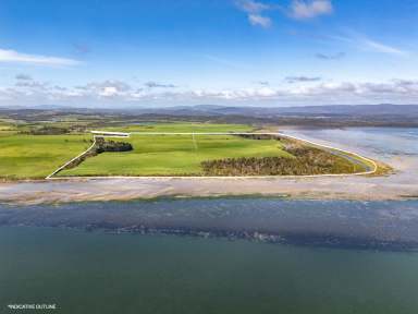 Farm For Sale - TAS - Rowella - 7270 - High Quality Pasture with Tamar River Frontage  (Image 2)