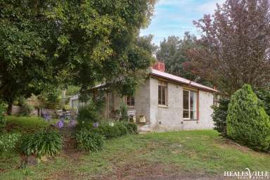 Farm For Sale - VIC - Healesville - 3777 - Premium Small Acreage Close to Healesville Main Street!  (Image 2)