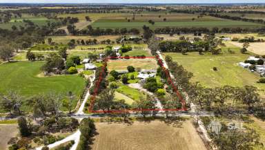 Farm For Sale - SA - Mundulla - 5270 - Curlew Park - Exquisite Lifestyle Acreage  (Image 2)