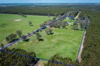 Farm For Sale - VIC - Kadnook - 3318 - Beautiful views over farmland and bluegums  (Image 2)