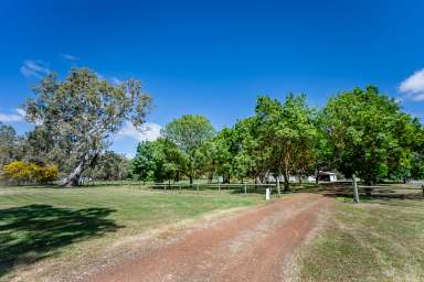 Farm For Sale - VIC - Kadnook - 3318 - Beautiful views over farmland and bluegums  (Image 2)