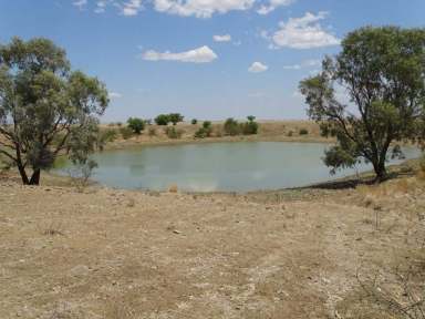 Farm Tender - QLD - Corfield - 4733 - Raelee Downs  (Image 2)