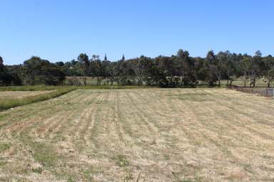 Farm For Sale - VIC - Hamilton - 3300 - Rural Lifestyle block on edge of Hamilton  (Image 2)