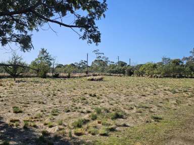 Farm For Sale - TAS - Dolphin Sands - 7190 - North-facing with privacy  (Image 2)