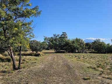 Farm For Sale - TAS - Dolphin Sands - 7190 - North-facing with privacy  (Image 2)