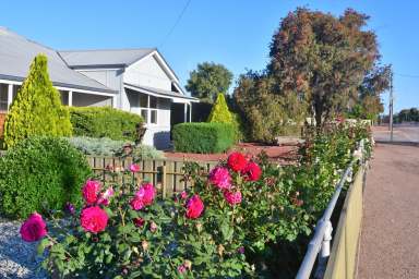 Farm For Sale - SA - Wilmington - 5485 - Family home with plenty of room to move  (Image 2)