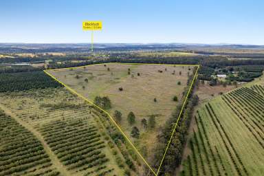 Farm For Sale - QLD - Cherry Creek - 4314 - 'Top Farm' - A Relaxed Country Lifestyle - 80.9* acres - Power, Yards & Bore  (Image 2)