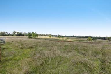 Farm For Sale - QLD - Cherry Creek - 4314 - 'Top Farm' - A Relaxed Country Lifestyle - 80.9* acres - Power, Yards & Bore  (Image 2)