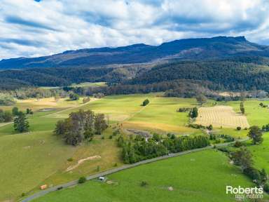 Farm For Sale - TAS - Mayberry - 7304 - COUNTRY CHARM WITH UNIQUE BUSINESS OPPORTUNITIES  (Image 2)