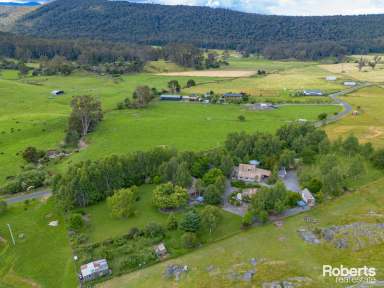 Farm For Sale - TAS - Mayberry - 7304 - COUNTRY CHARM WITH UNIQUE BUSINESS OPPORTUNITIES  (Image 2)