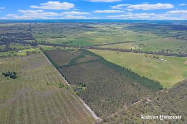 Farm For Sale - VIC - Woodside - 3874 - Secluded Weekender Retreat with Joint Venture Plantation  (Image 2)