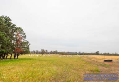 Farm For Sale - WA - Mokup - 6394 - PRODUCTIVE ACREAGE!  (Image 2)