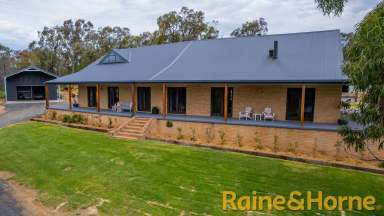 Farm For Sale - NSW - Elong Elong - 2831 - A True Rural Lifestyle Escape!  (Image 2)