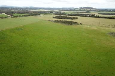 Farm For Sale - WA - Green Valley - 6330 - 'Green Valley'  (Image 2)