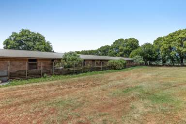 Farm Auction - QLD - Newtown - 4350 - Thoroughbred History "Dalrello Lodge"  (Image 2)