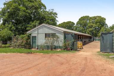 Farm Auction - QLD - Newtown - 4350 - Thoroughbred History "Dalrello Lodge"  (Image 2)