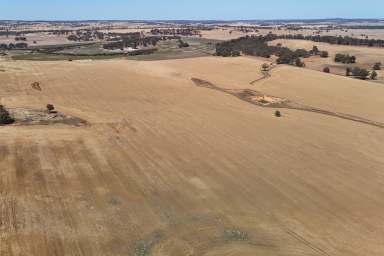 Farm For Sale - WA - Brookton - 6306 - Chitt's"  Chittleborough Rd W, Brookton  585.19ha (1445.41acres)  (Image 2)