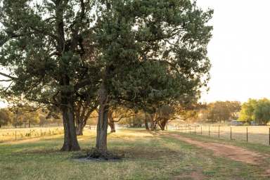 Farm Auction - NSW - Alectown - 2870 - The Perfect Weekender or Lifestyle Block  (Image 2)