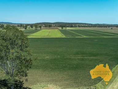 Farm For Sale - QLD - Tellebang - 4630 - Prime Lucerne, Fodder, and Grain Growing Property on Renowned Langley Flats  (Image 2)